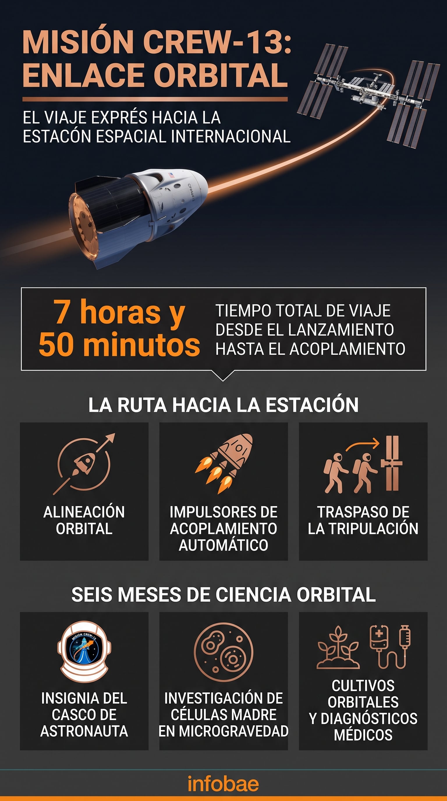 Una infografía de Infobae detalla el tiempo de viaje de siete horas y cincuenta minutos de la misión Crew-13 hacia la Estación Espacial Internacional y sus experimentos en microgravedad. (Imagen Ilustrativa Infobae)