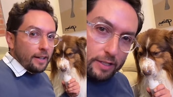 Para tratar a su mascota,