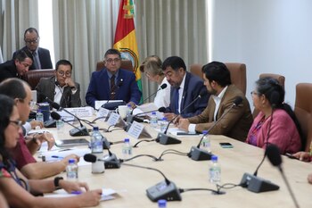 Un grupo de diputados y asesores están sentados alrededor de una mesa de conferencias con micrófonos, documentos, botellas de agua y una bandera