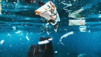 Investigadores de la Universidad James