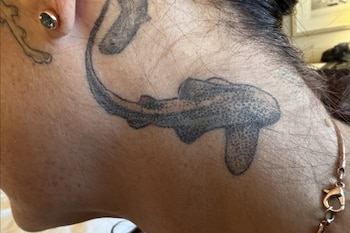 Una bióloga obsesionada con los tiburones bate un récord tras tatuarse un homenaje a cada criatura que conoce