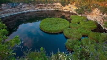 Explora el cenote más profundo del planeta, joya oculta en el norte de México