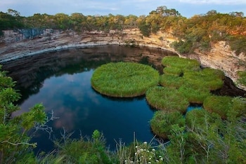 Vista aérea de un cenote circular con paredes rocosas y vegetación. El agua oscura contiene varias islas flotantes de pasto verde. Cielo nublado