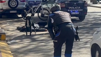 Video: un hombre quedó tendido en el suelo y no lo pudieron asistir porque su perro no dejó que nadie se acerque