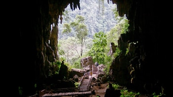 Parque Nacional Tingo María (Huánuco)