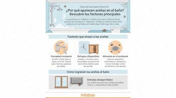 Infografía ilustra razones de arañas en baños. Contiene iconos de grifo, vapor de ducha, armario agrietado, desagüe con insectos, ventana y rejilla de ventilación.