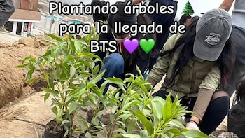 Fans de BTS organizan reforestación