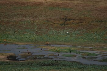 Incendios en Corrientes