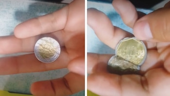 En algunos casos forran una