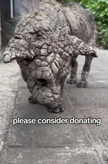 Su historia no solo ha