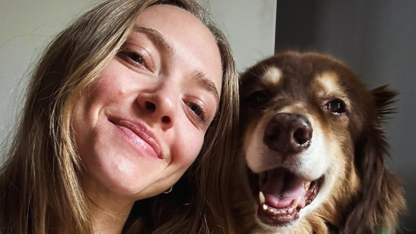 Caballos rescatados, más de 40 animales y una granja con casi 100 años: así es el santuario de Amanda Seyfried lejos de Hollywood
