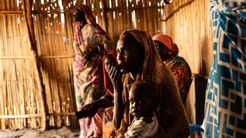 ONG alertan de la persistencia