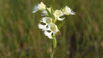 Científicos y estudiantes investigan el