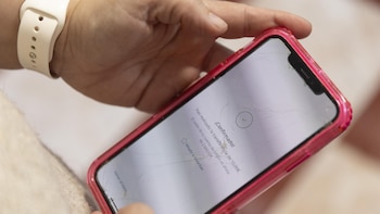 El fraude a través de