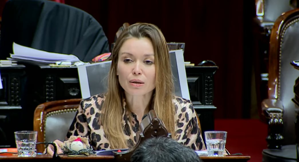 La diputada cordobesa afirmó que no votará a favor de la propuesta oficialista