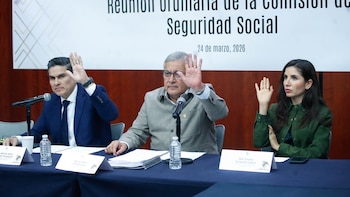 Comisiones aprueban reconocer a hermanos
