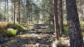 La ruta de senderismo que fue el capricho de un rey: puentes de madera, bosques de película y adaptada para toda la familia
