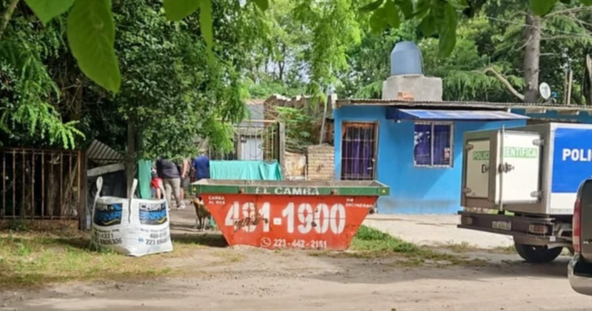 La casa del barrio Parque Hermoso de Mar del Plata donde una mujer envenenó 16 perros y 12 gatos y se suicidó (0223)