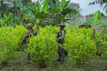 En las investigaciones identificaron a