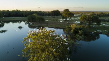 La investigación identifica 24 frentes