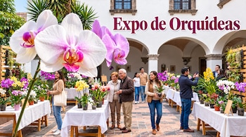 El Museo Casa del Risco realiza del 1 al 4 de octubre la muestra "México en sus Orquídeas. (Visuales IA)