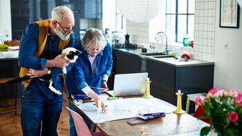 Los gatos implican menos complicaciones