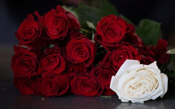 El descubrimiento de los genes