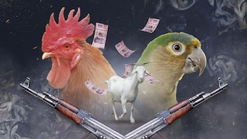 Portada: Jovany Pérez, Infobae México.