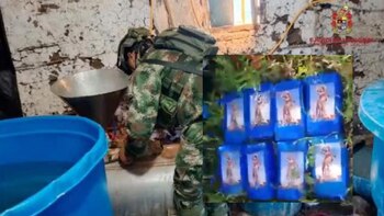 Más de 300 kilogramos de