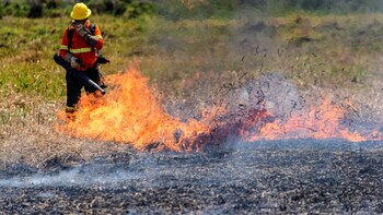 Incendios en Bolivia, Paraguay y