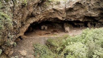 Un estudio revela qué comían los canarios aborígenes antes de la Conquista