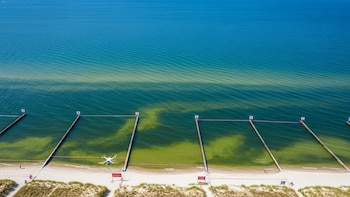 Por qué las autoridades del mar Báltico recomiendan evitar el agua en sectores de Alemania y Polonia