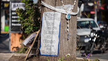 El árbol del santuario.