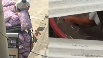 Vecinos alertan manipulación de ajo