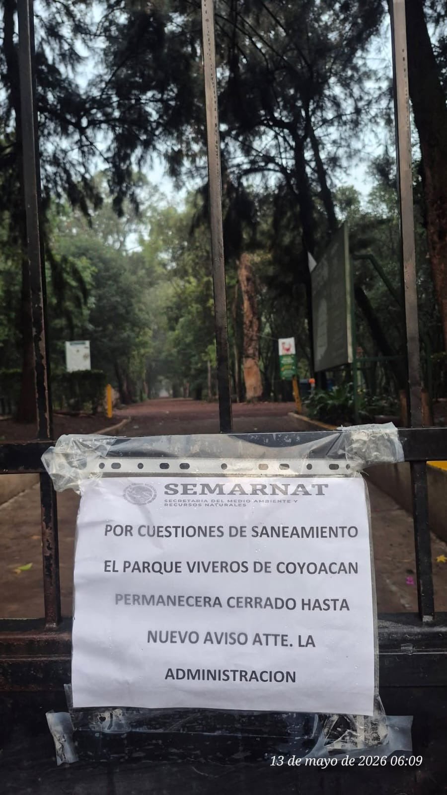 (X/@jamonarosas)