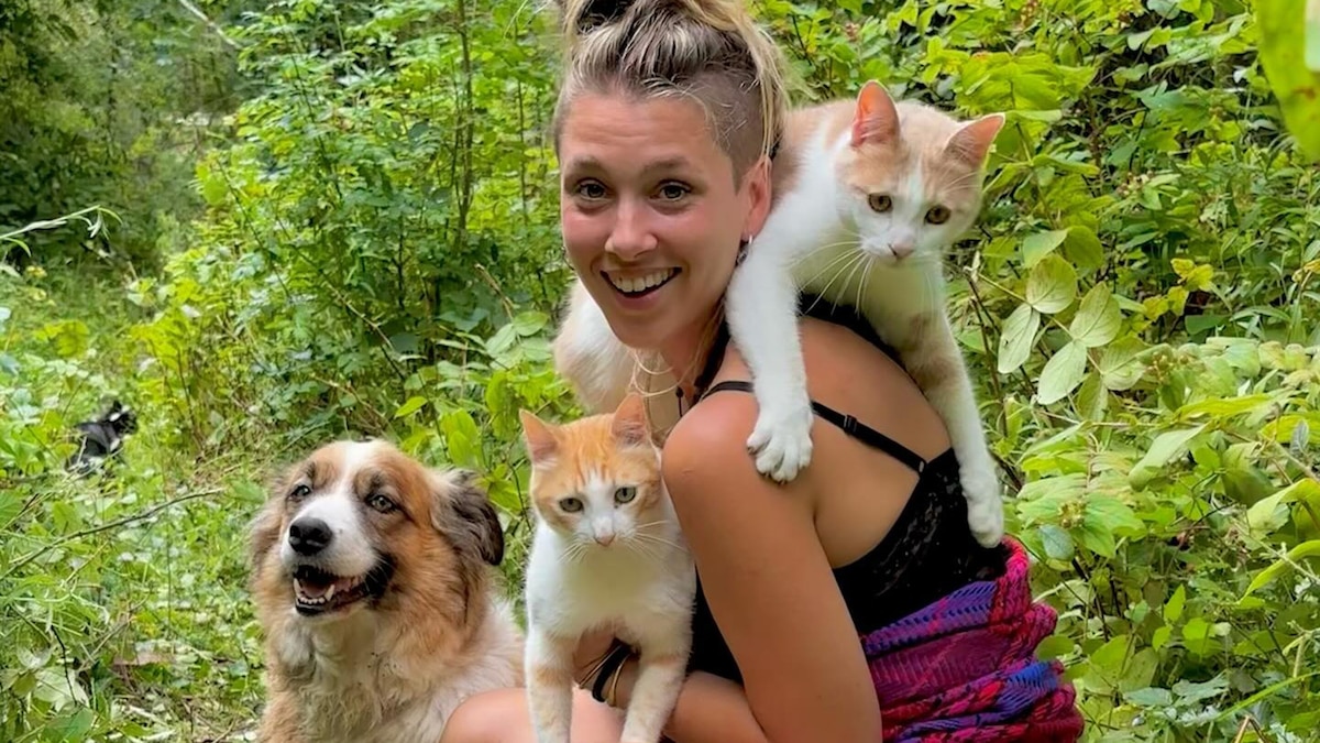 Imagen de la noticia: Dejó familia, trabajo y amigos para vivir en una aldea de montaña abandonada con sus 4 perros y 12 gatos: el llamado de la naturaleza