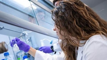 Las mujeres ocupaban casi el 40% de las direcciones de institutos del CSIC en 2025, 14 puntos más que hace tres años