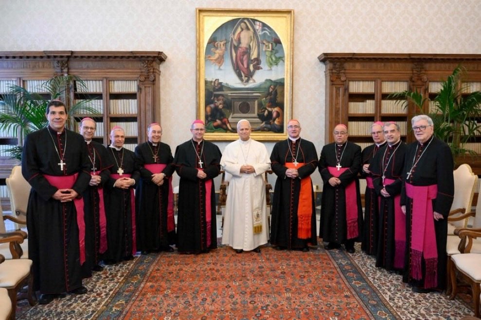 Los obispos uruguayos con el papa León XIV (@DanielSturla)