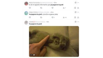 Estos son solo algunos de