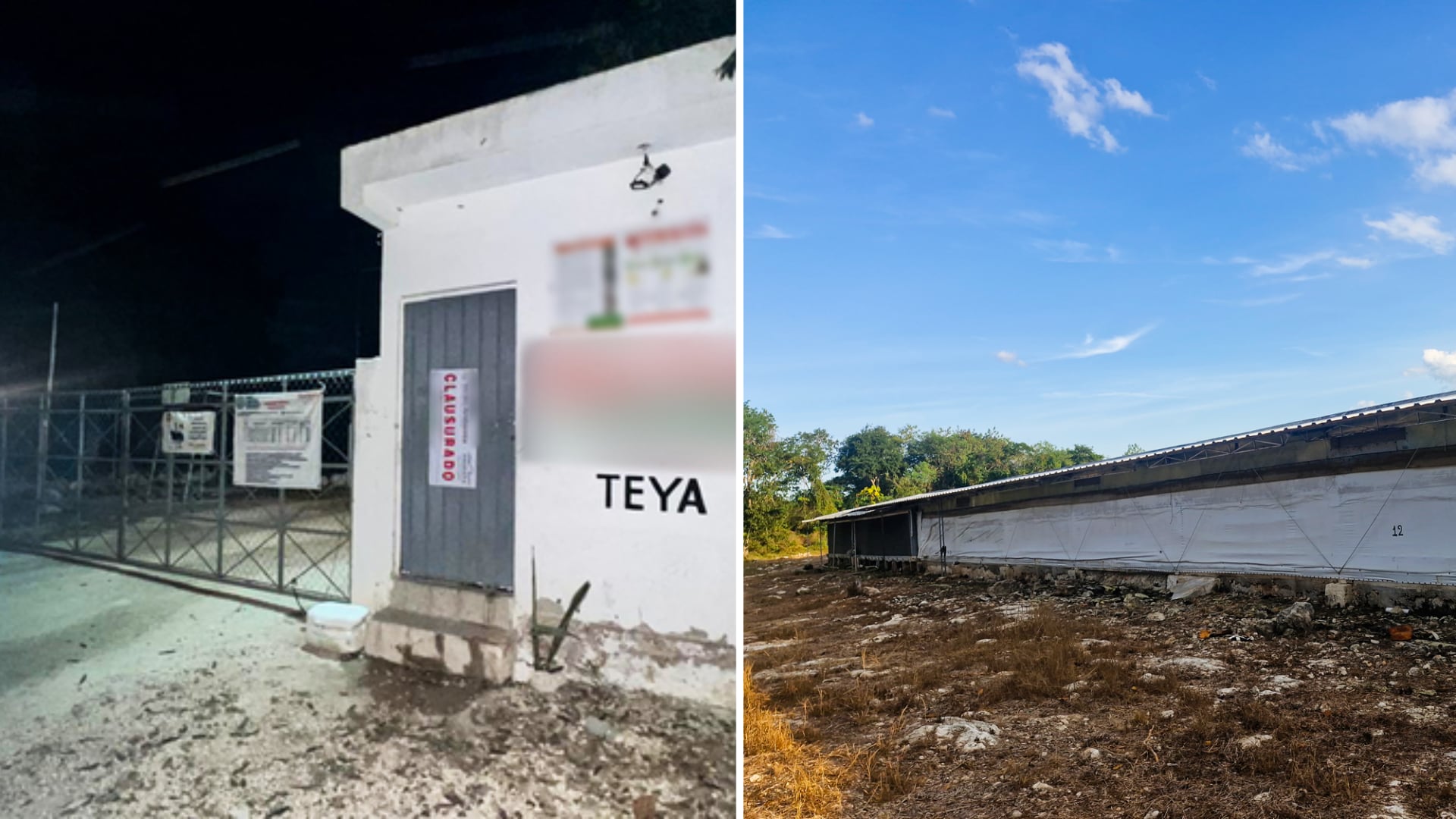 En Yucatán, Profepa clausuró un predio de Granjas Avícolas Bachoco. (Foto: Profepa)