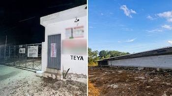 Profepa detecta daño ecológico en