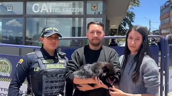 Pato, un perro pomerania negro, fue recuperado por la Policía Metropolitana de Bogotá y devuelto a su familia ocho días después del robo - crédito @PoliciaBogota / X