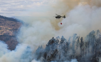 Los incendios, en su mayoría provocados, han sido difíciles de sofocar por la sequía. (Juan Diego Montenegro/dpa SOCIEDAD INTERNACIONAL)
