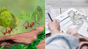 Los gastos hormiga son definidos