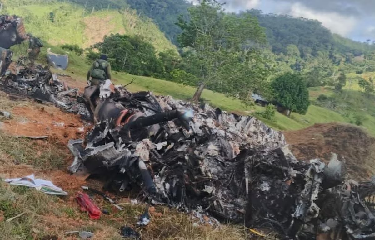 La estricta reserva de los operativos antidrogas responde a recientes ataques armados y la muerte de agentes en zonas de erradicación - crédito Fuerzas Militares