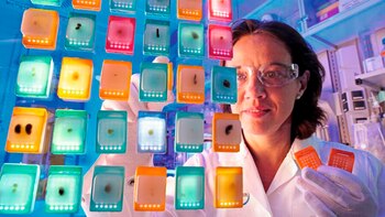 UN panel de teccion de