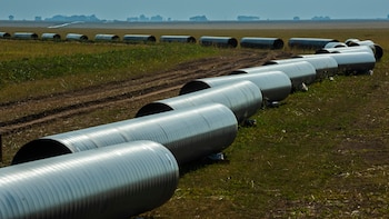 En 2026 la economía crecerá