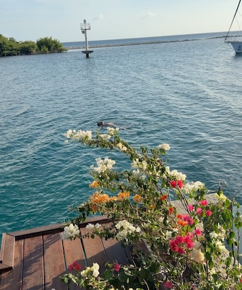 Los recién casados disfrutaron de cada rincón del paraíso