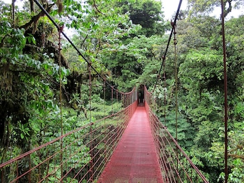 Vista frontal de un largo puente colgante de metal rojo con barandillas y piso de rejilla, rodeado por un bosque tropical denso y verde