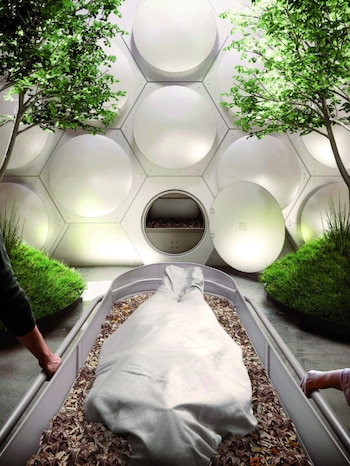 El proceso de reducción orgánica